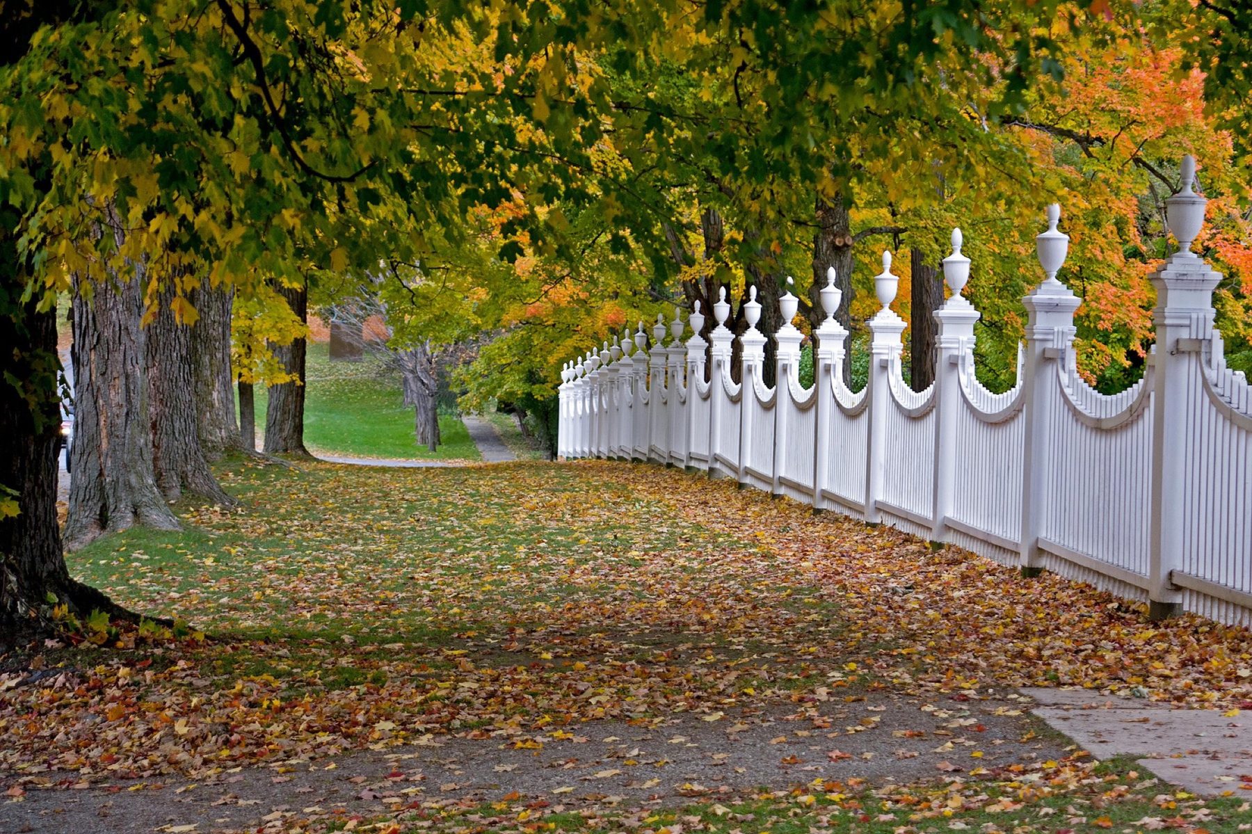 White ornamental picket fence with decorative post finials running along a tree-lined street in autumn